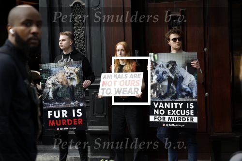 Amsterdam 29 oktober 2022
Aktievoerders op de pc hooftstraat tegen dierenleed. Ze staan voor Tiffany&Co