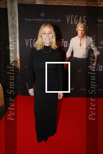 Amsterdam 5 november 2022
Premiere Hans Klok bij the Harbour Club in Amsterdam. Esther Oosterbeek en Angela Groothuizen