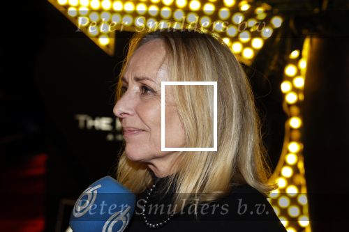 Amsterdam 5 november 2022
Premiere Hans Klok bij the Harbour Club in Amsterdam. Angela Groothuizen