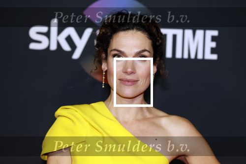 Amsterdam 3 november 2022
Rode loper ivm met nieuwe streamingsdienst Sky showtime bij westergasfabriek. Anna Drijver