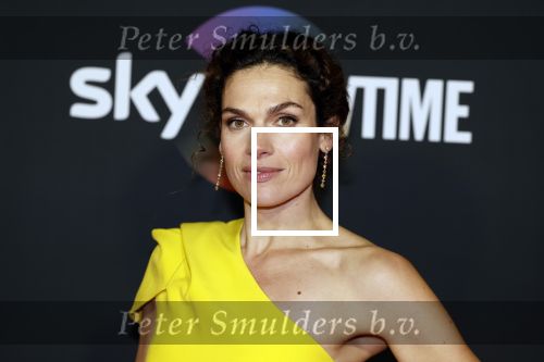 Amsterdam 3 november 2022
Rode loper ivm met nieuwe streamingsdienst Sky showtime bij westergasfabriek. Anna Drijver