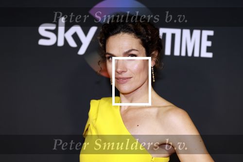 Amsterdam 3 november 2022
Rode loper ivm met nieuwe streamingsdienst Sky showtime bij westergasfabriek. Anna Drijver