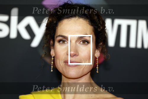 Amsterdam 3 november 2022
Rode loper ivm met nieuwe streamingsdienst Sky showtime bij westergasfabriek. Anna Drijver