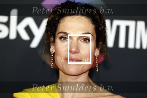 Amsterdam 3 november 2022
Rode loper ivm met nieuwe streamingsdienst Sky showtime bij westergasfabriek. Anna Drijver