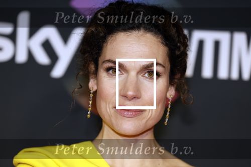 Amsterdam 3 november 2022
Rode loper ivm met nieuwe streamingsdienst Sky showtime bij westergasfabriek. Anna Drijver