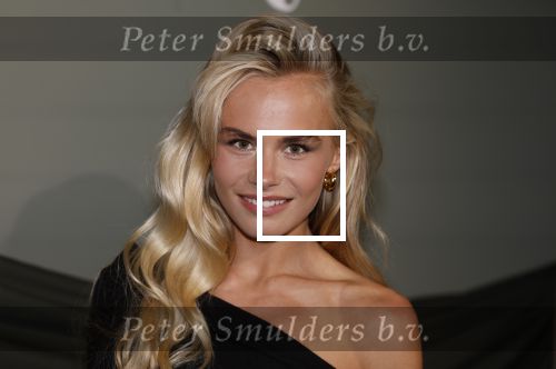 Amsterdam 14 november 2022
Gala van Harpers Bazaar in Amsterdam centrum.
Annekee Molenaar