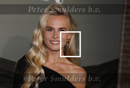 Amsterdam 14 november 2022
Gala van Harpers Bazaar in Amsterdam centrum.
Annekee Molenaar