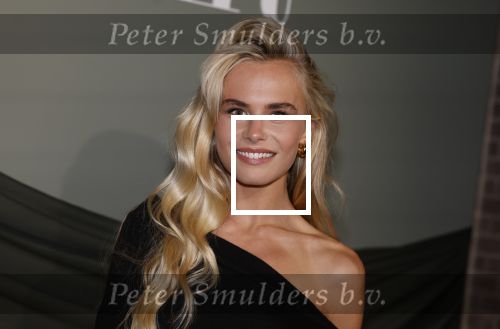 Amsterdam 14 november 2022
Gala van Harpers Bazaar in Amsterdam centrum.
Annekee Molenaar