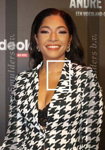 Amsterdam, 19 Oktober 2022
Premiere documentaire Andre Hazes bij Videoland in het Tuschinski theater
April Darby