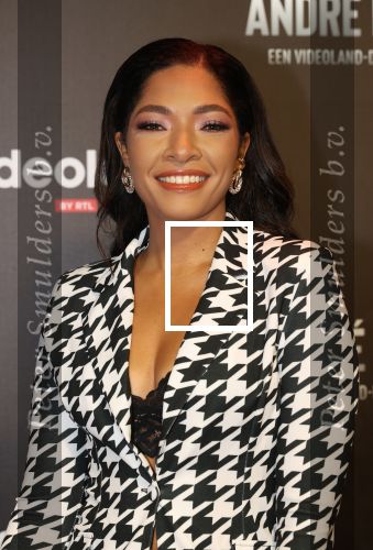 Amsterdam, 19 Oktober 2022
Premiere documentaire Andre Hazes bij Videoland in het Tuschinski theater
April Darby