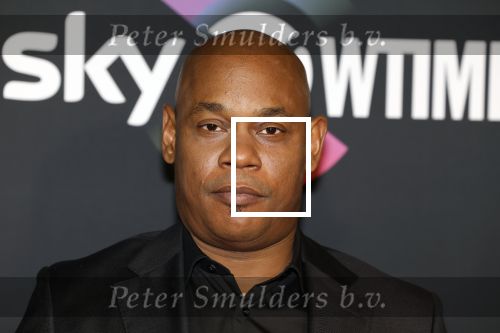Amsterdam 3 november 2022
Rode loper ivm met nieuwe streamingsdienst Sky showtime bij westergasfabriek. Bokeem Woodbine