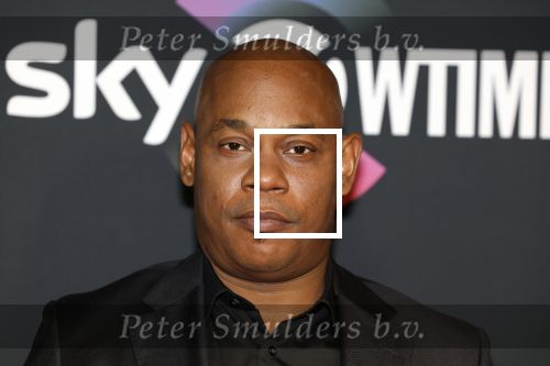 Amsterdam 3 november 2022
Rode loper ivm met nieuwe streamingsdienst Sky showtime bij westergasfabriek. Bokeem Woodbine