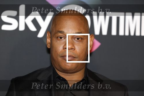 Amsterdam 3 november 2022
Rode loper ivm met nieuwe streamingsdienst Sky showtime bij westergasfabriek. Bokeem Woodbine