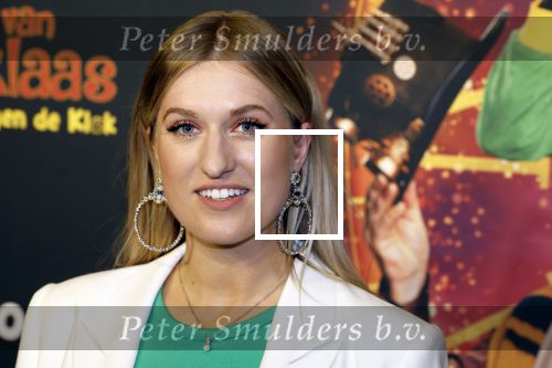 Utrecht 8 oktober 2022
Premiere de club van sinterklaas met oa Britt Dekker en Lavezzi Rutjes