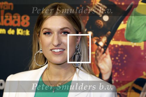Utrecht 8 oktober 2022
Premiere de club van sinterklaas met oa Britt Dekker en Lavezzi Rutjes