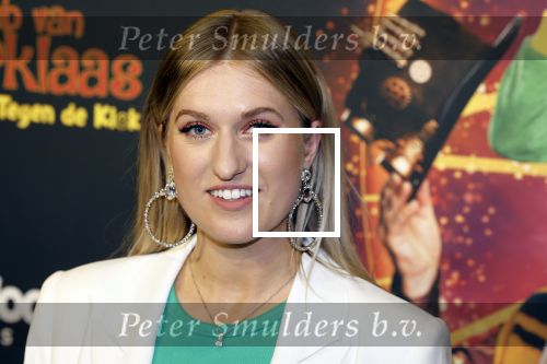 Utrecht 8 oktober 2022
Premiere de club van sinterklaas met oa Britt Dekker en Lavezzi Rutjes