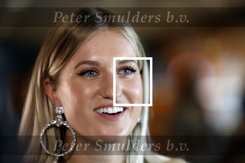 Utrecht 8 oktober 2022
Premiere de club van sinterklaas met oa Britt Dekker en Lavezzi Rutjes