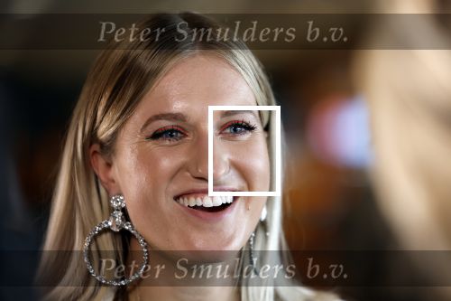 Utrecht 8 oktober 2022
Premiere de club van sinterklaas met oa Britt Dekker en Lavezzi Rutjes