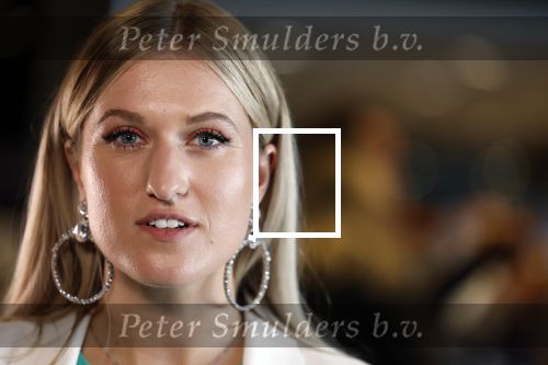 Utrecht 8 oktober 2022
Premiere de club van sinterklaas met oa Britt Dekker en Lavezzi Rutjes