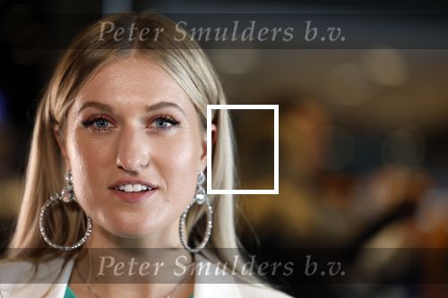 Utrecht 8 oktober 2022
Premiere de club van sinterklaas met oa Britt Dekker en Lavezzi Rutjes