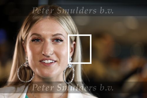 Utrecht 8 oktober 2022
Premiere de club van sinterklaas met oa Britt Dekker en Lavezzi Rutjes