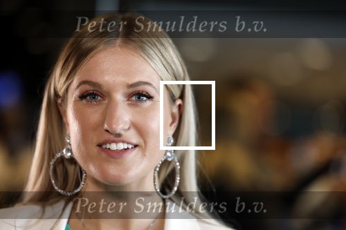 Utrecht 8 oktober 2022
Premiere de club van sinterklaas met oa Britt Dekker en Lavezzi Rutjes