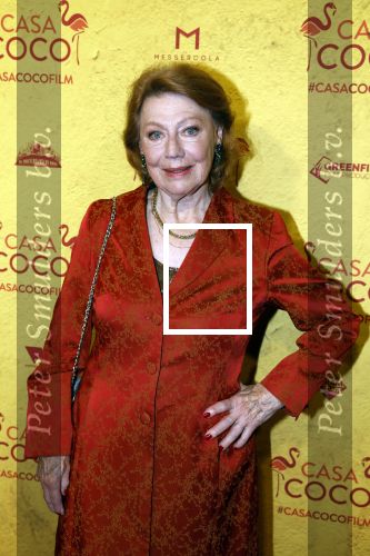 Rotterdam 7 november 2022
Premiere Casa Coco met oa Gerard Cox Joke Bruijs Loes Luca Katja Schuurman Frederique Spigt Bruni Heinke Oscar Aerts Chris Tates Richard Groenendijk en Pamela Teves.