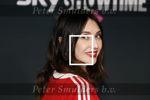 Amsterdam 3 november 2022
Rode loper ivm met nieuwe streamingsdienst Sky showtime bij westergasfabriek. Carice v Houten