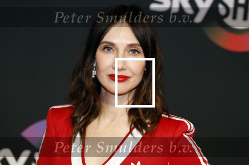 Amsterdam 3 november 2022
Rode loper ivm met nieuwe streamingsdienst Sky showtime bij westergasfabriek. Carice v Houten
