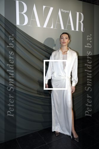 Amsterdam 14 november 2022
Gala van Harpers Bazaar in Amsterdam centrum.
Chelsey Weimar