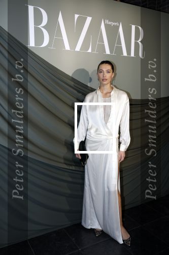 Amsterdam 14 november 2022
Gala van Harpers Bazaar in Amsterdam centrum.
Chelsey Weimar
