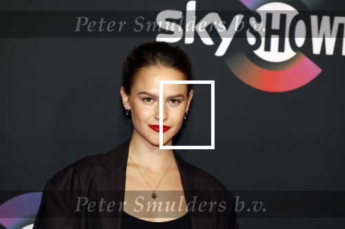 Amsterdam 3 november 2022
Rode loper ivm met nieuwe streamingsdienst Sky showtime bij westergasfabriek. Clara Rugaard