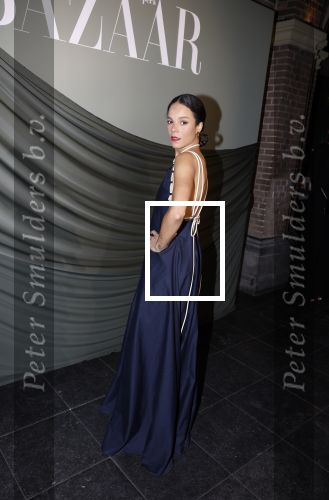 Amsterdam 14 november 2022
Gala van Harpers Bazaar in Amsterdam centrum.
Cloe Leenheer