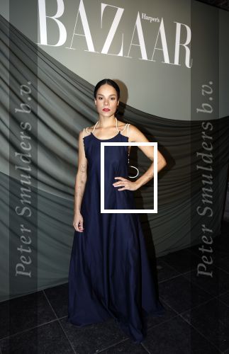 Amsterdam 14 november 2022
Gala van Harpers Bazaar in Amsterdam centrum.
Cloe Leenheer