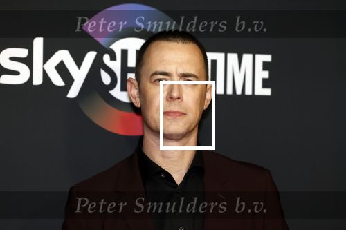 Amsterdam 3 november 2022
Rode loper ivm met nieuwe streamingsdienst Sky showtime bij westergasfabriek. Colin Hanks