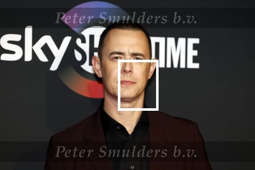 Amsterdam 3 november 2022
Rode loper ivm met nieuwe streamingsdienst Sky showtime bij westergasfabriek. Colin Hanks