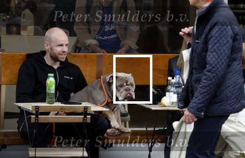 Amsterdam 29 oktober 2022
Davy Klaassen met zijn hond op terras.