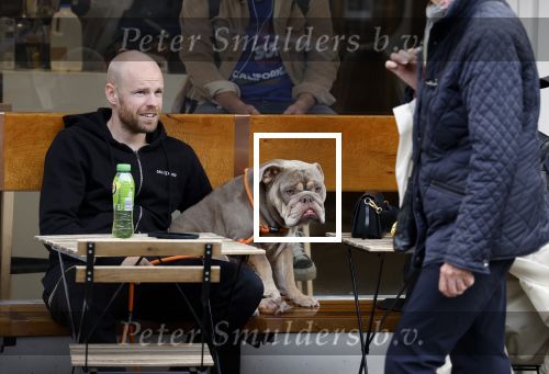 Amsterdam 29 oktober 2022
Davy Klaassen met zijn hond op terras.