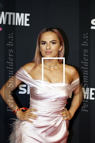 Amsterdam 3 november 2022
Rode loper ivm met nieuwe streamingsdienst Sky showtime bij westergasfabriek. Demi de Boer