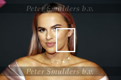 Amsterdam 3 november 2022
Rode loper ivm met nieuwe streamingsdienst Sky showtime bij westergasfabriek. Demi de Boer