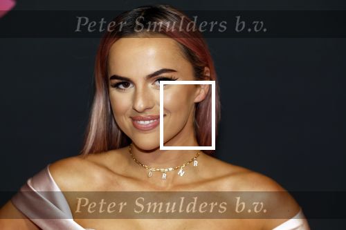 Amsterdam 3 november 2022
Rode loper ivm met nieuwe streamingsdienst Sky showtime bij westergasfabriek. Demi de Boer