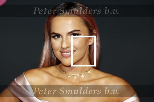 Amsterdam 3 november 2022
Rode loper ivm met nieuwe streamingsdienst Sky showtime bij westergasfabriek. Demi de Boer