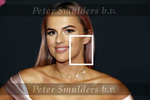 Amsterdam 3 november 2022
Rode loper ivm met nieuwe streamingsdienst Sky showtime bij westergasfabriek. Demi de Boer