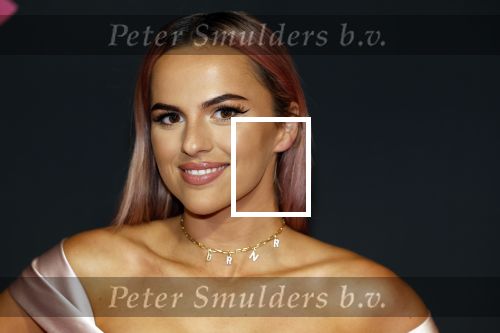 Amsterdam 3 november 2022
Rode loper ivm met nieuwe streamingsdienst Sky showtime bij westergasfabriek. Demi de Boer