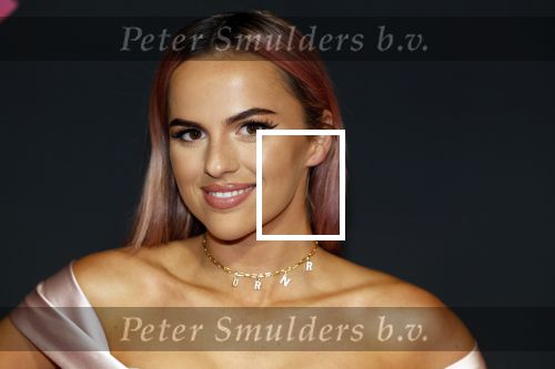 Amsterdam 3 november 2022
Rode loper ivm met nieuwe streamingsdienst Sky showtime bij westergasfabriek. Demi de Boer