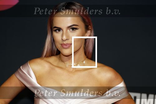 Amsterdam 3 november 2022
Rode loper ivm met nieuwe streamingsdienst Sky showtime bij westergasfabriek. Demi de Boer