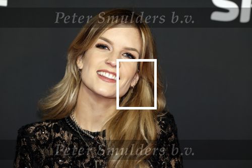 Amsterdam 3 november 2022
Rode loper ivm met nieuwe streamingsdienst Sky showtime bij westergasfabriek. Dionne Slagter