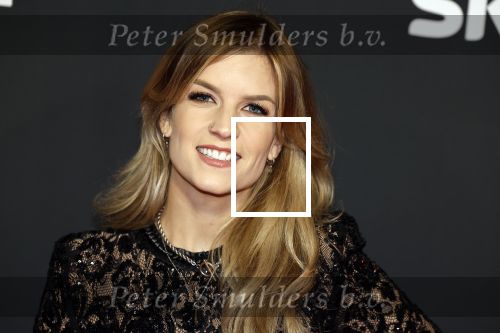 Amsterdam 3 november 2022
Rode loper ivm met nieuwe streamingsdienst Sky showtime bij westergasfabriek. Dionne Slagter
