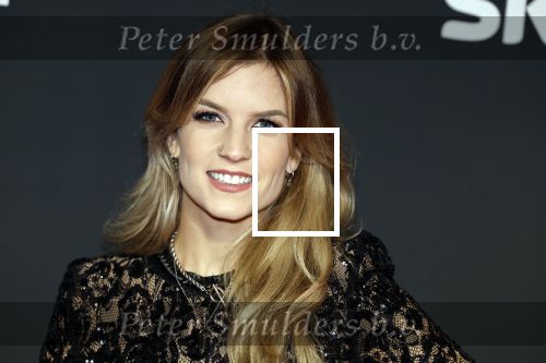 Amsterdam 3 november 2022
Rode loper ivm met nieuwe streamingsdienst Sky showtime bij westergasfabriek. Dionne Slagter