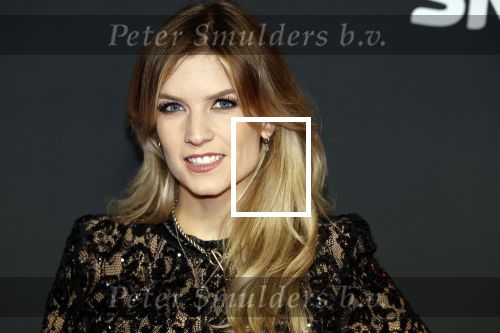 Amsterdam 3 november 2022
Rode loper ivm met nieuwe streamingsdienst Sky showtime bij westergasfabriek. Dionne Slagter